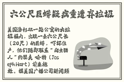 罗志祥5G开网站入口